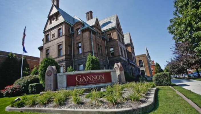 Image result for gannon university