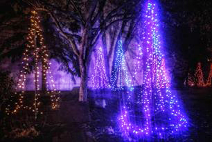 Gannon lights up holiday season