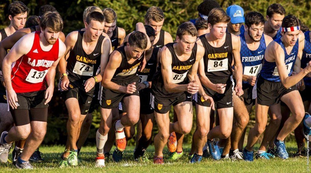 Cross country teams light up the trails in first three meets