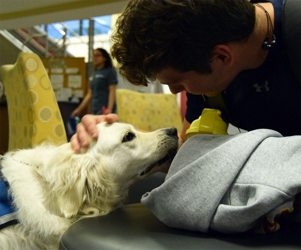 Therapy+dogs+return+to+the+Rec