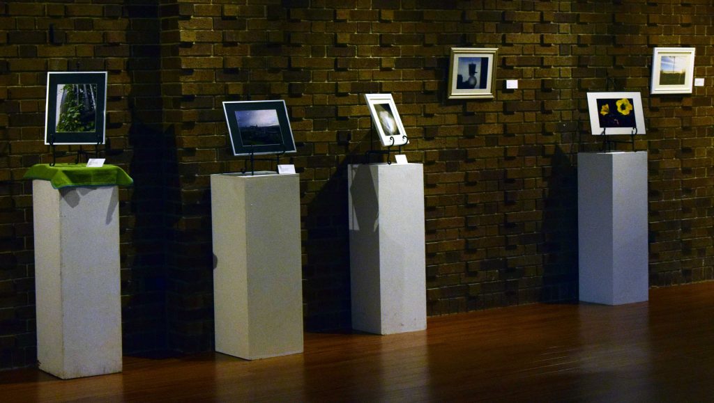 Schuster Gallery displays photos