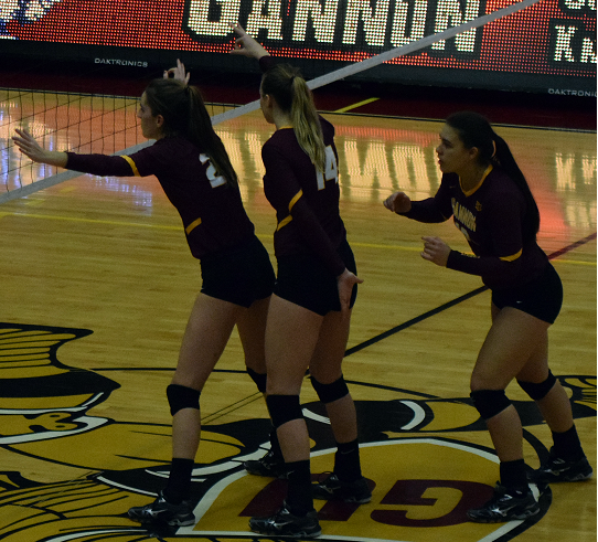 Volleyball concludes historic season in NCAA Semifinals