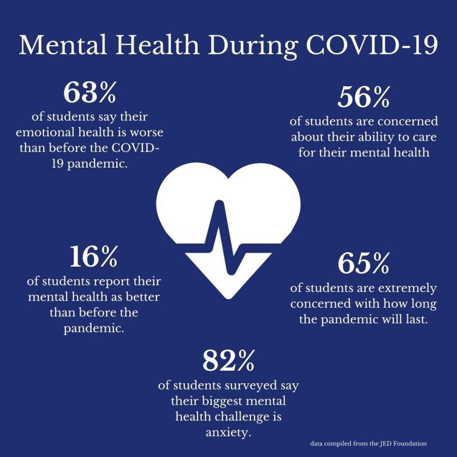 Mental+health+issues+are+hard+to+deal+with+for+students+without+a+global+pandemic.+With+COVID-19%2C+students+are+facing+these+issues+at+a+higher+rate+than+under+normal+circumstances.+Awareness+and+aid+are+crucial+during+this+time%2C+which+is+why+Jill+Merritt%2C+Ph.D.%2C+and+Renee+Foradori+are+offering+the+Youth+Mental+Health+First+Aid+Program+for+faculty+and+staff+at+Gannon.