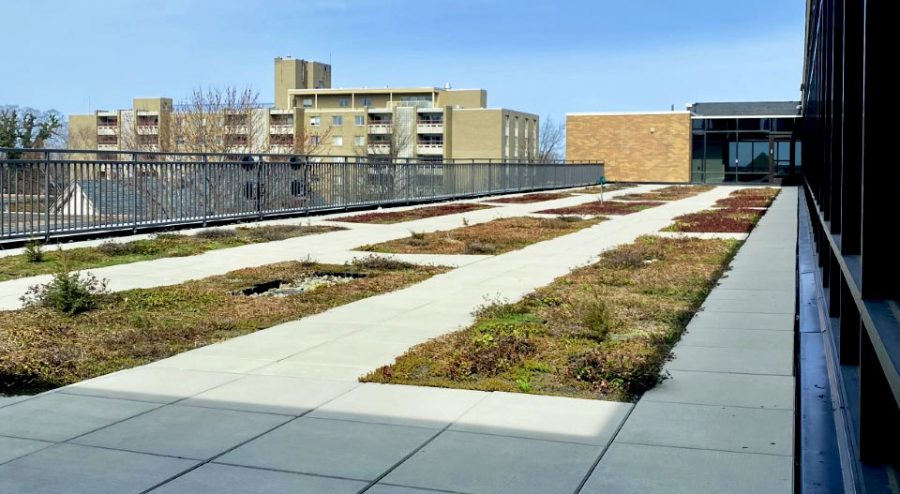 The Nash Library green roof was part of the renovations on the building that started in 2016. The roof was added to enhance the sustainability of the buildings design and provides Gannons biology and environmental science students with hands-on experience.