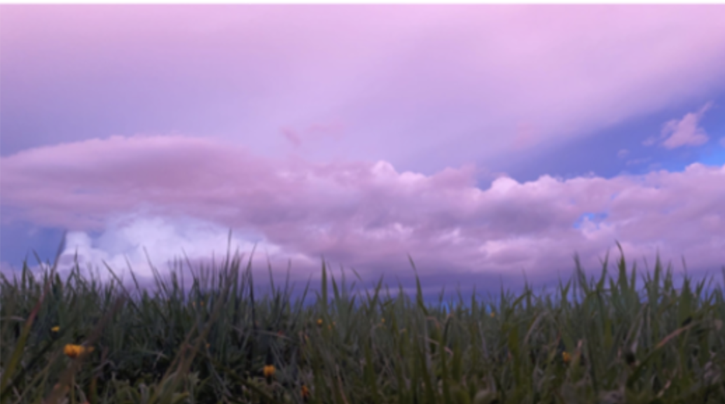 Dreamy lavender skies in a breezy summer field. 