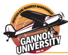 Gannon University Aviation Business Management flyer 
