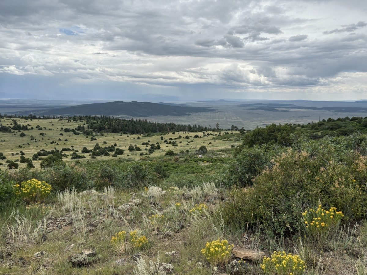 New Mexico: The Land of Enchantment