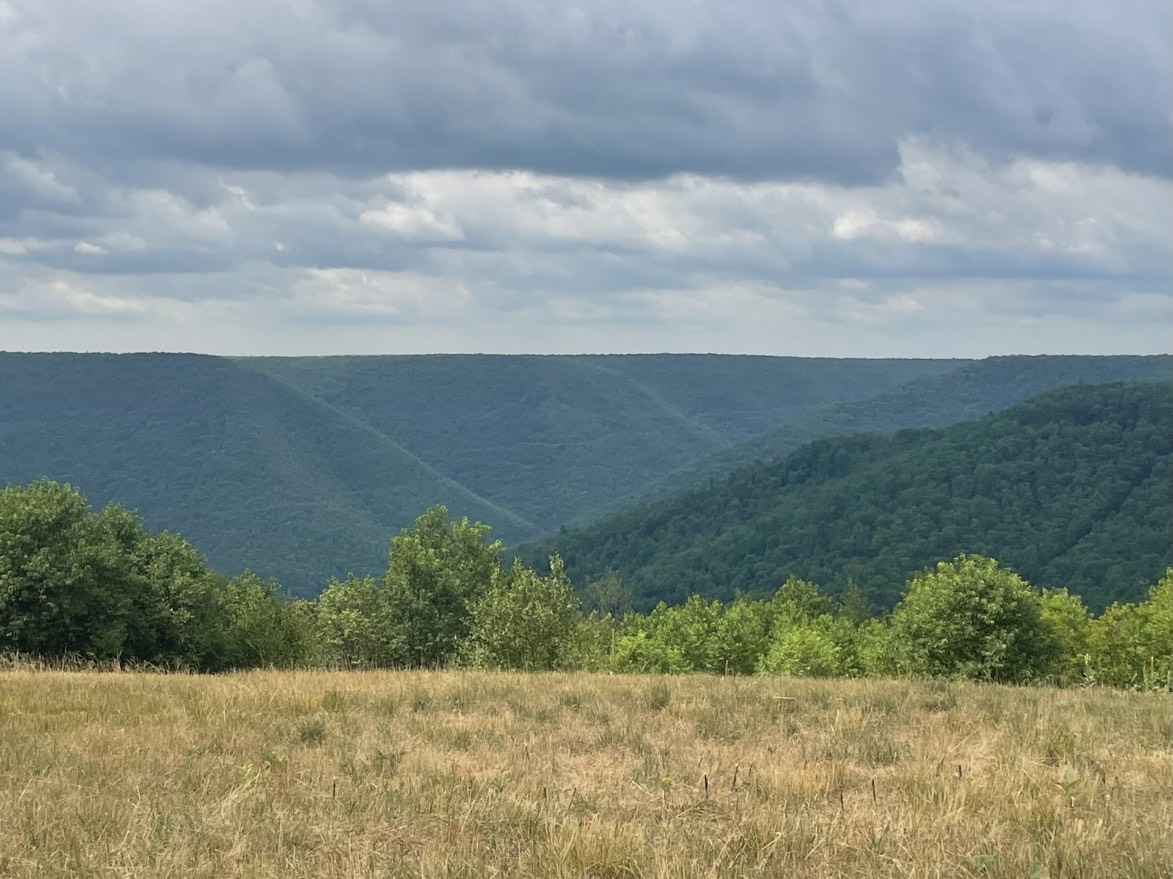 In Western Pennsylvania lies a flat region made up of sedimentary rocks uplifted during the creation of the Appalachian Mountains. Over millions of years, rivers and streams eroded ridges and valleys in the flat canvas creating the beautiful ancient Allegheny Plateau