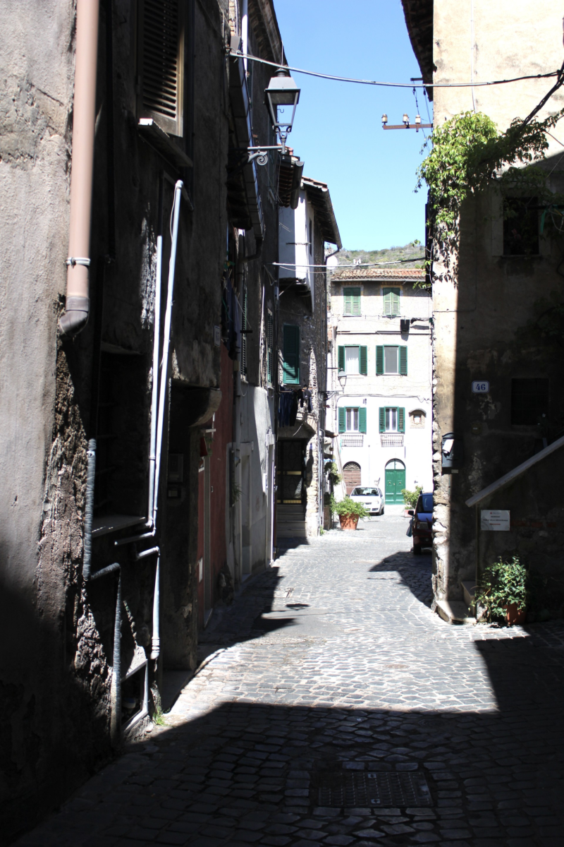 During the siesta, not a soul on narrow cobblestone street lined with colorful doors and windows.