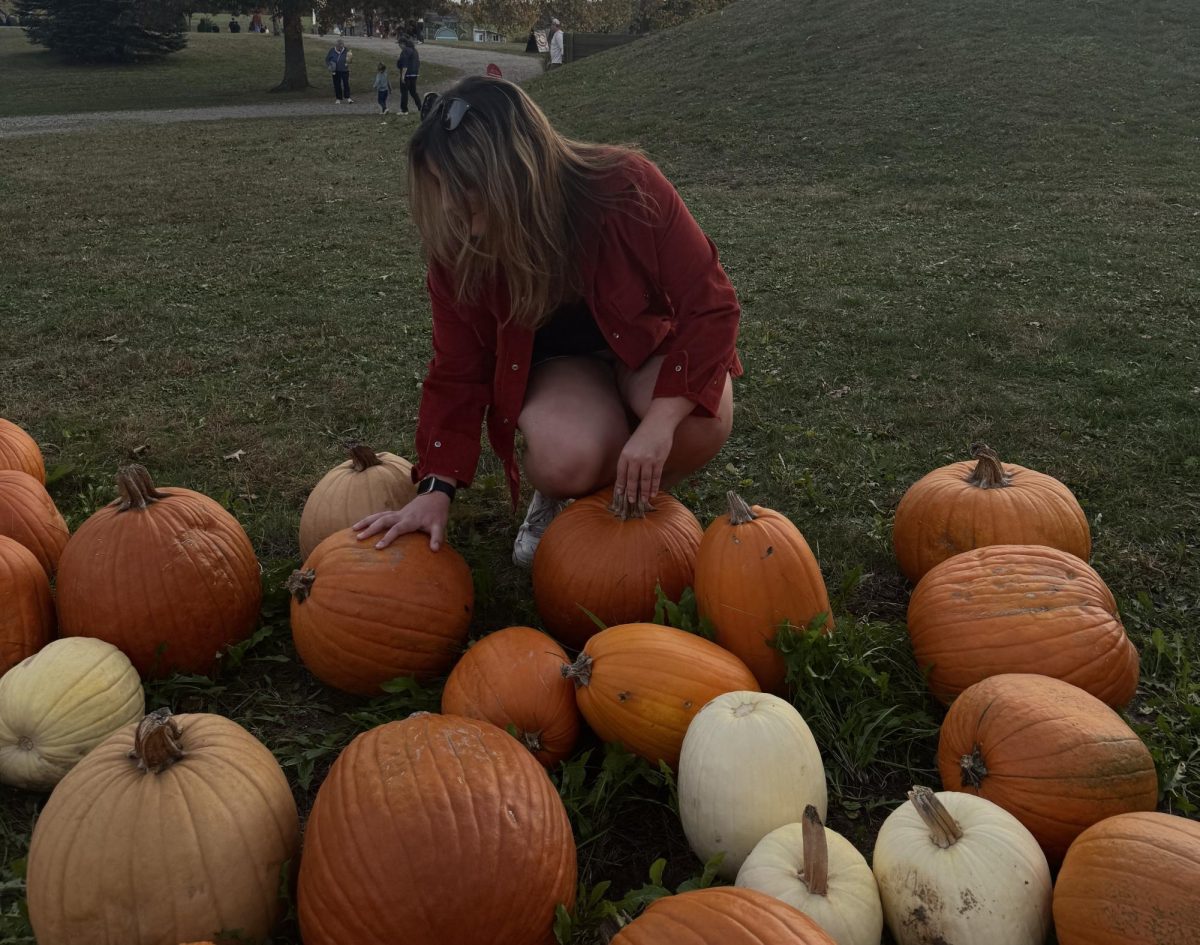 Pictured: Anna Malinowski selecting a pumpkin while visiting Port Farms over the weekend. 